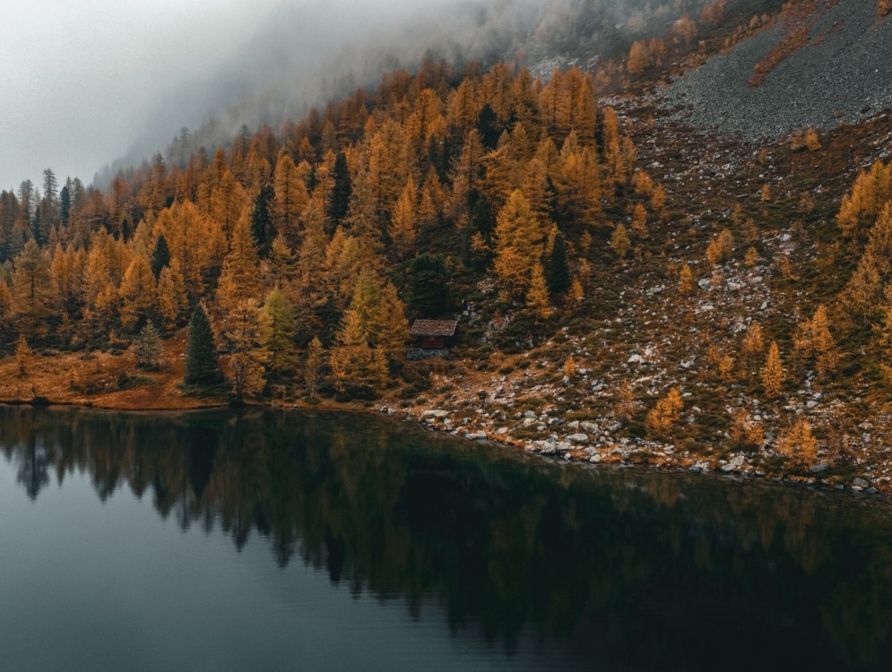https://www.kroneliving.com/media/pages/mediathek/angebote/37d81f9625-1746631568/autmnliving-995x750-crop-50-50.jpg