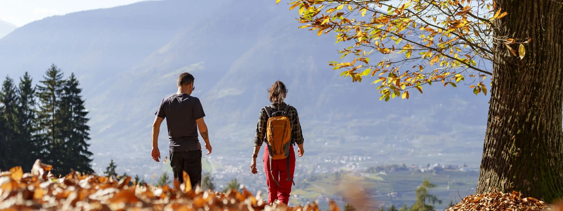 https://www.blumenhotel.it/typo3temp/assets/_processed_/0/5/csm__c_tourismusverein_schenna_-_rene_gamper_7_.jpg_90eae17ac5.webp